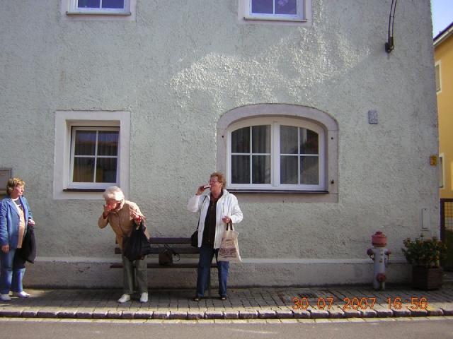 Wegscheid - Begegnung mit dem Blutwurz.JPG